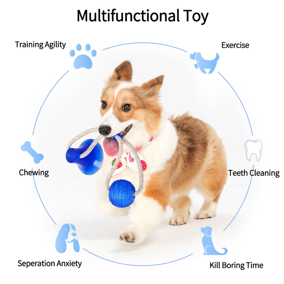 Multifunction Pet Molar Bite Dog Toys
