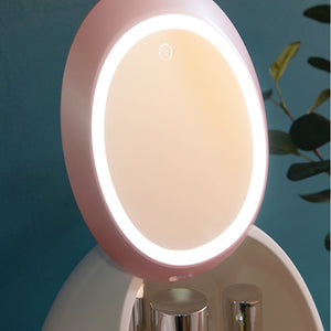 LED Makeup Mirror Cosmetics Storage Organization