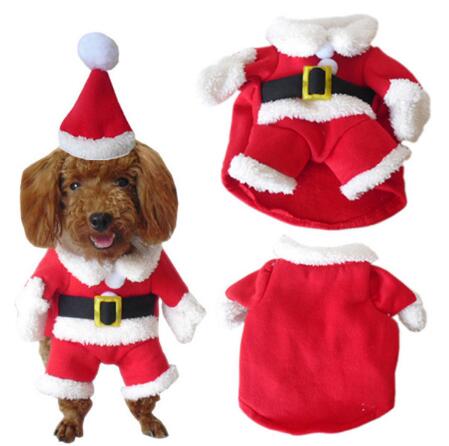 Funny Christmas Winter Warm Dog