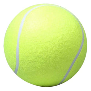 Dog Tennis Ball