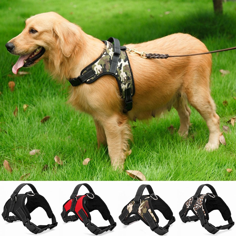 No-Pull Dog Harness, Adjustable Harness for Dogs