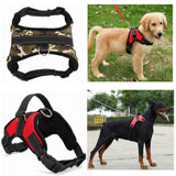 No-Pull Dog Harness, Adjustable Harness for Dogs